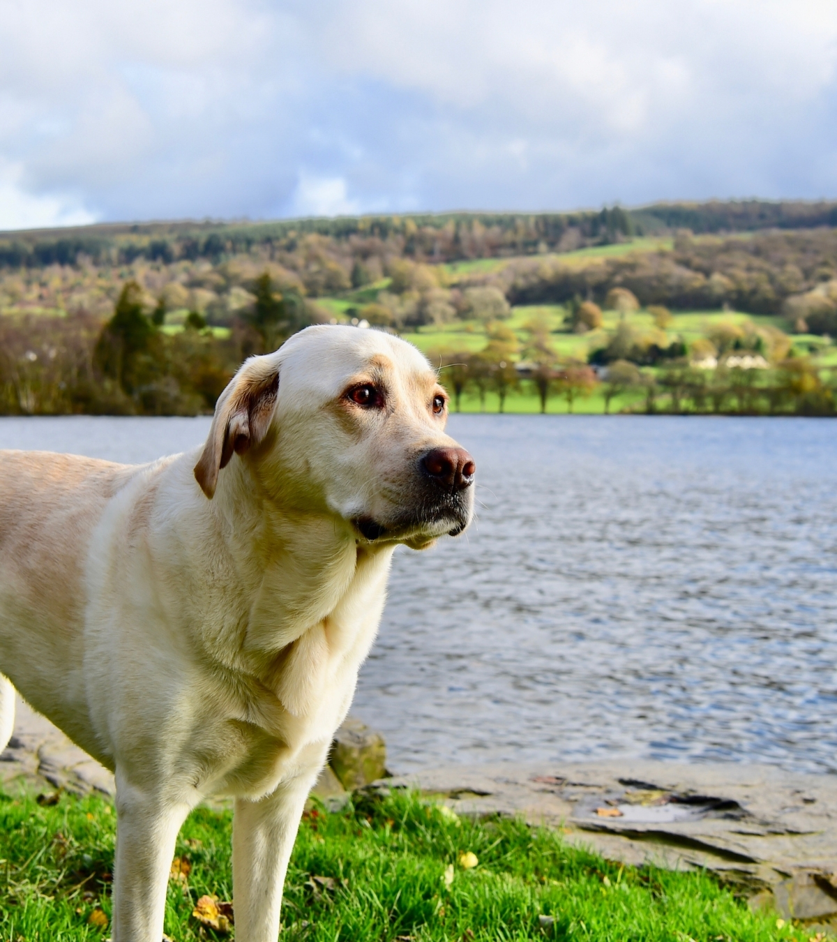 Beautiful Lake District view